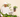 A man in a white sweater and cap holds a potted Monstera adansonii, surrounded by lush green plants.
