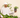 A man in a white sweater and cap holds a potted Monstera adansonii, surrounded by lush green plants.
