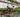 Two people work in a greenhouse under hanging vines.