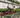 Two people work in a greenhouse under hanging vines.