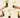 Five hands hold various plant plugs with exposed roots against a neutral beige background, showcasing young plant growth.