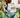 A person sits cross-legged in a blue chair, reading a magazine, surrounded by lush indoor plants.