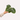 Philodendron plant care guide
