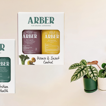 Organic Plant Care