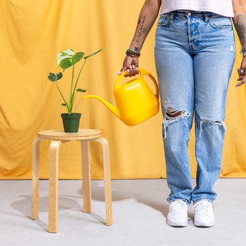 Easy Care Plants