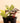 ‘Plant Mom’ Garden Gift