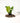 A potted Anthurium 'Veitchii' plant with long, strap-like green leaves.