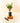 Potted plant on a wooden block with a pair of shears on a white background