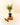Potted plant on a wooden block with a pair of shears on a white background