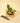 A variegated Philodendron Green Congo 'Copper Flame' plant with large, paddle-shaped leaves, placed in a pot on a wooden surface, with a pair of pruning shears beside it.
