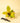 A 4-inch pot of Philodendron 'Painted Lady' plant with green leaves splashed with vibrant yellow variegation, placed on a wooden surface next to a pair of shears.