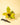 A 4-inch pot of Philodendron 'Painted Lady' plant with green leaves splashed with vibrant yellow variegation, placed on a wooden surface next to a pair of shears.