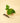 4" Philodendron 'Verrucosum'