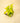 A vibrant Pothos 'Neon' plant with bold, chartreuse leaves in a 4-inch pot placed against a neutral background.