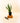 4" Sansevieria 'Black Coral'