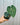 A hand holding a potted Anthurium 'Clarinervium' plant with heart-shaped leaves and prominent white veins against a metal background.