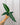 A hand holding a Dieffenbachia 'Panther' plant with dark green leaves and creamy white variegation against a metal background.
