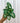 A hand holding a 4-inch Syngonium 'Glo Glo' plant with white veining on green leaves.
