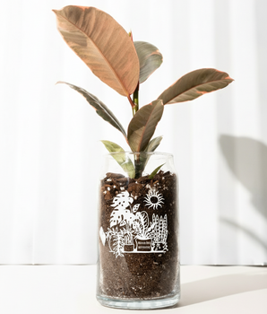 Beer Garden Can Glass