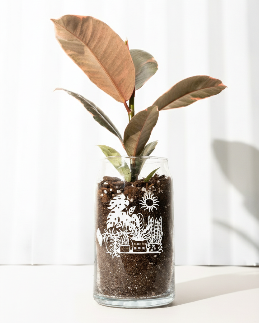 beer for house plants Beer Garden Can Glass – BWH Plant Co