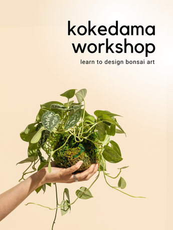 Kokedama_Workshop.png