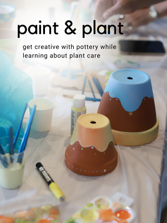 Paint & Plant (2).png