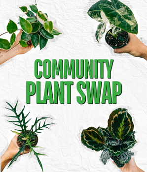 Community Plant Swap
