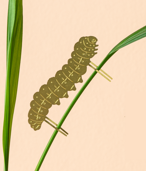 Plant Animal - Caterpillar