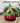 Pumpkin Painting Workshop