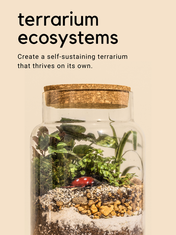 terrarium & Plant.png