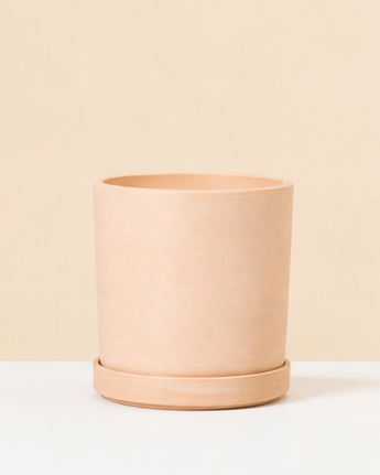 light terracotta eco pot on a beige background