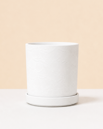 White eco pot on a beige background