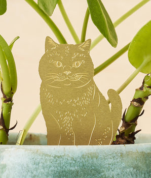 Plant Animal - Cat