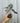 A person holding a potted Alocasia 'Chantrieri' plant against a metal background