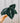 A hand holding a potted Alocasia Reginula 'Black Velvet' plant with deep green leaves against a metal background