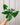 A person holding a 4-inch Heart Fern houseplant with heart-shaped fronds.