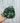 Hand holding a potted plant against a light gray background