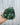 Hand holding a potted plant against a light gray background