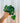 Hand holding a potted peperomia plant against a metal background