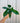 A person holding a 4-inch Philodendron 'Florida' plant with large green leaves against a metal background.