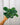 A person holding a 4-inch Scindapsus 'Pictus Argyraeus' plant with heart-shaped leaves showing silver variegation.