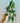 A hand holding a 4-inch pot of Syngonium Albo Variegated plant with white and green variegated leaves.