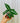 A hand holding a 4-inch Syngonium 'Wendlandii' plant with arrow-shaped leaves and white veining against a metal background.