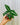 A hand holding a 4-inch Syngonium 'Wendlandii' plant with arrow-shaped leaves and white veining against a metal background.