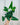A person holding a 6-inch Heart Fern with heart-shaped fronds.