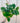 A person holding a 6-inch hanging basket of Philodendron 'Cordatum' with heart-shaped green leaves.