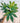 A 6-inch Variegated Fatsia 'Japonica' plant with green leaves featuring white marbling, held against a metal background.