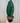 6" Sansevieria Masoniana 'Whale Fin'