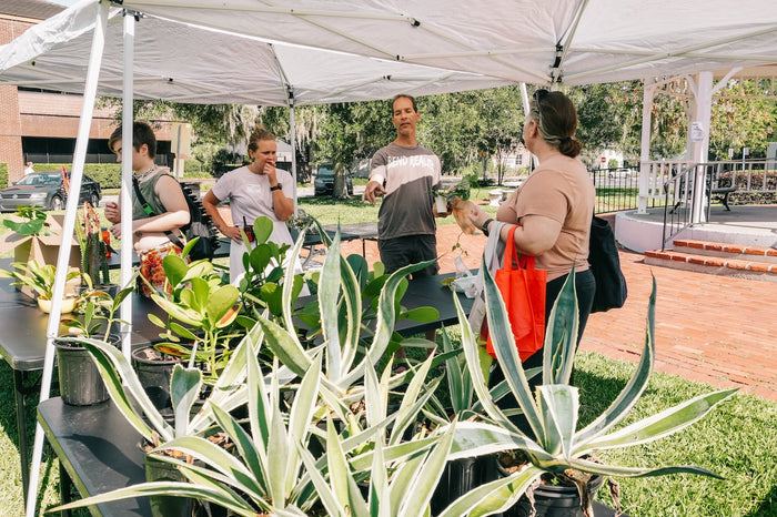 A small plant market under a white canopy, with people browsing and discussing various plants displayed on tables, surrounded by greenery and sunlight.