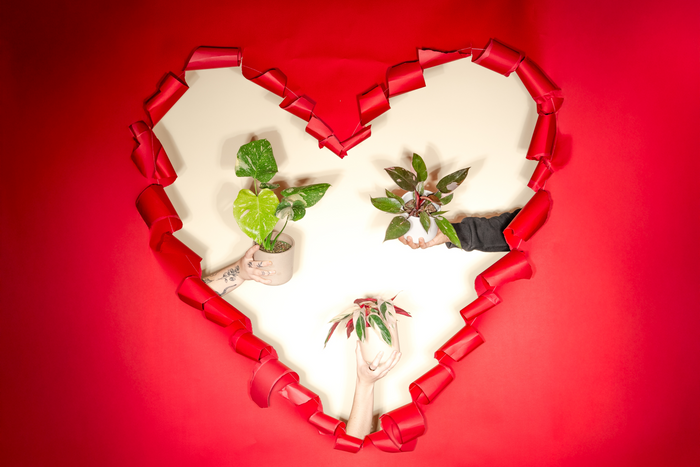 Hands hold potted plants framed by a torn red paper heart on a beige background.